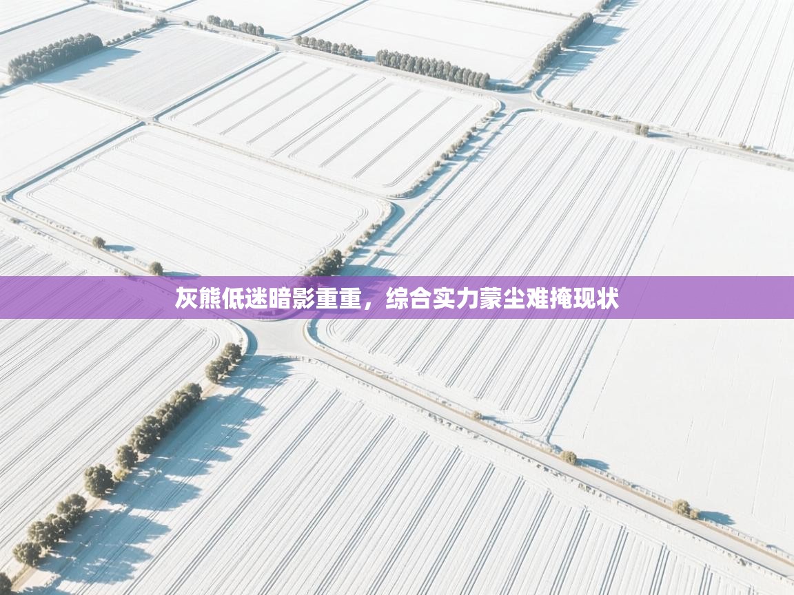 灰熊低迷暗影重重，综合实力蒙尘难掩现状