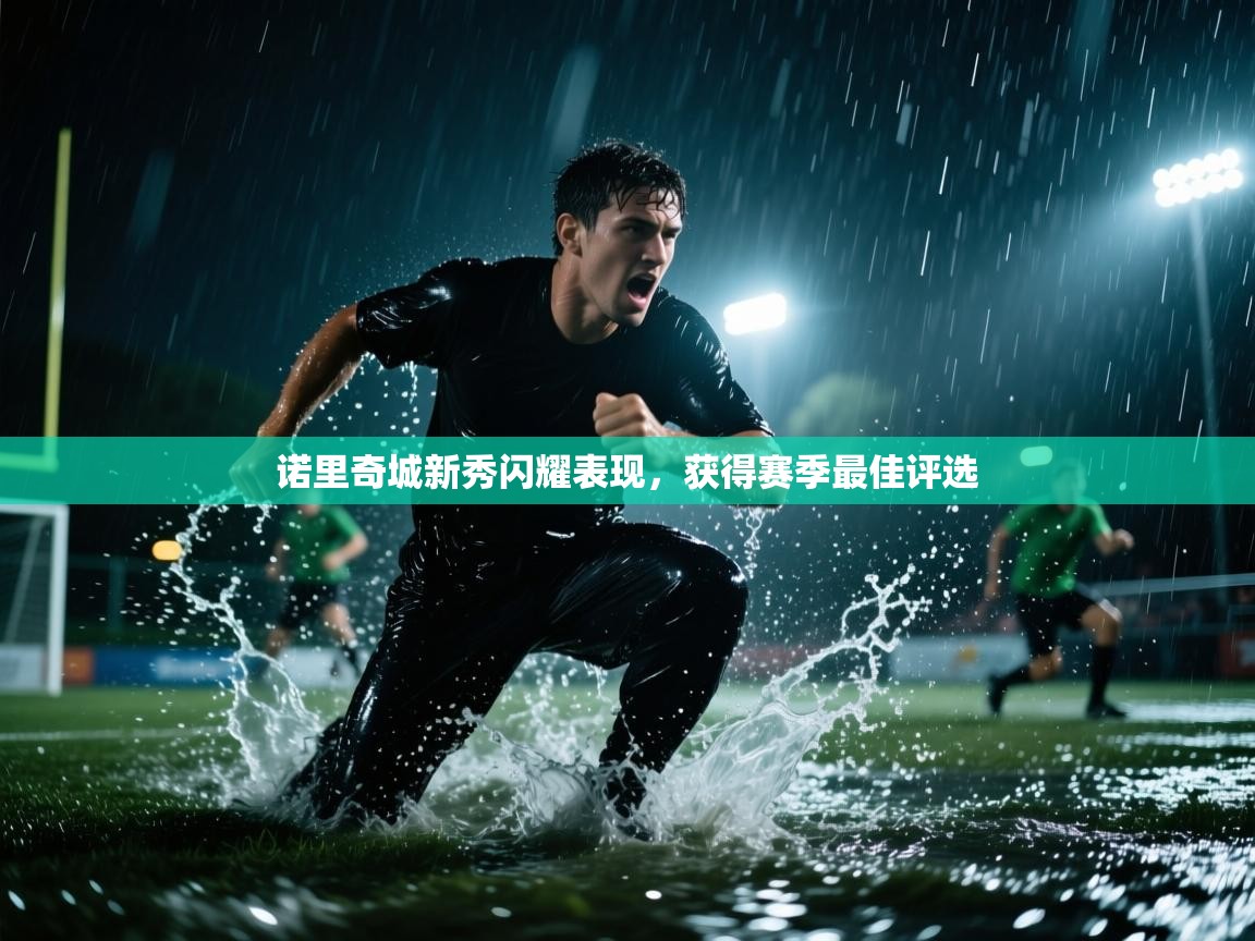 诺里奇城新秀闪耀表现，获得赛季最佳评选